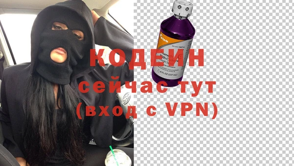 гашик Алзамай