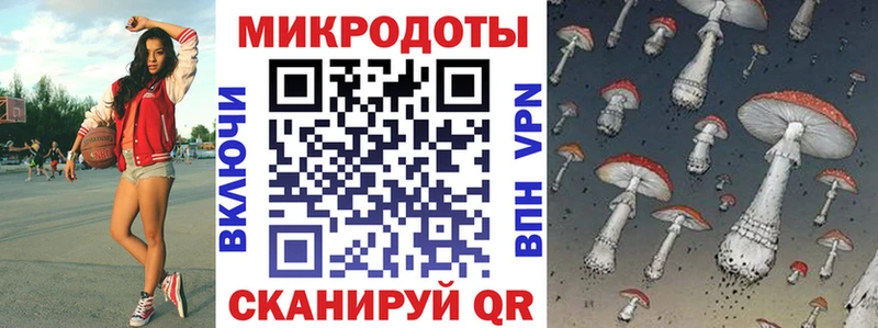 где купить   Лахденпохья  Псилоцибиновые грибы MAGIC MUSHROOMS 